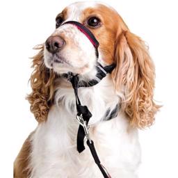 Halti OptiFit Snude Sele For Bedre Kontrol Når Hunden Trækker